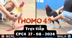 Trực Tiếp thomo CPC4 ngày 27-08-2024