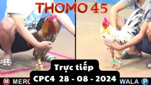 Trực Tiếp thomo CPC4 ngày 28-08-2024