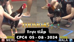 Trực Tiếp thomo CPC4 ngày 05-08-2024