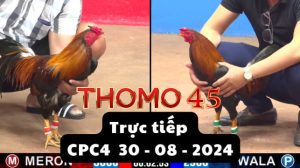 Trực Tiếp thomo CPC4 ngày 30-08-2024
