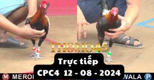 Trực Tiếp thomo CPC4 ngày 12-08-2024