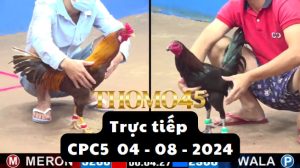 Trực Tiếp thomo CPC2 ngày 04-08-2024
