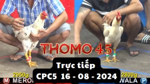 Trực Tiếp thomo CPC5 ngày 16-08-2024