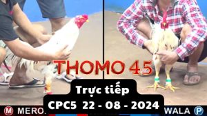 Trực Tiếp thomo CPC5 ngày 22-08-2024
