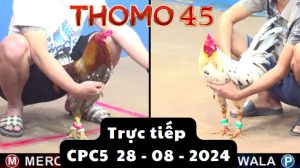 Trực Tiếp thomo CPC5 ngày 28-08-2024