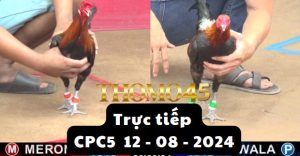 Trực Tiếp thomo CPC5 ngày 12-08-2024