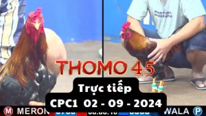 Trực Tiếp thomo CPC1 ngày 02-09-2024