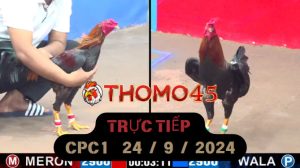 Trực Tiếp thomo CPC1 ngày 24-09-2024