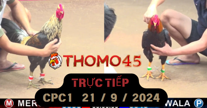 Trực Tiếp thomo CPC1 ngày 21-09-2024