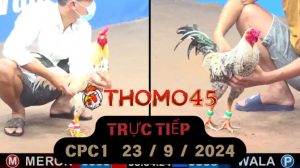Trực Tiếp thomo CPC1 ngày 23-09-2024