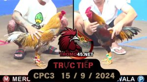 Trực Tiếp thomo CPC3 ngày 15-09-2024
