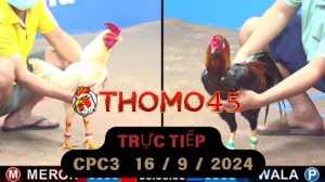 Trực Tiếp thomo CPC3 ngày 16-09-2024