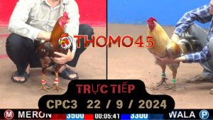 Trực Tiếp thomo CPC3 ngày 22-09-2024