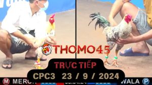 Trực Tiếp thomo CPC3 ngày 23-09-2024