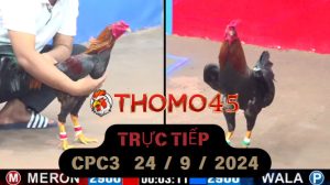 Trực Tiếp thomo CPC3 ngày 24-09-2024