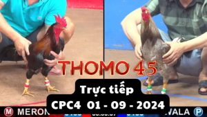 Trực Tiếp thomo CPC4 ngày 01-09-2024