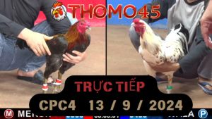 Trực Tiếp thomo CPC4 ngày 13-09-2024