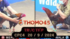Trực Tiếp thomo CPC4 ngày 20-09-2024