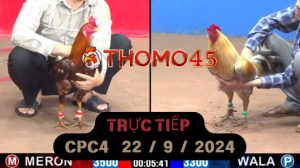 Trực Tiếp thomo CPC4 ngày 22-09-2024