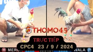 Trực Tiếp thomo CPC4 ngày 23-09-2024
