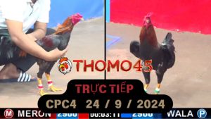 Trực Tiếp thomo CPC4 ngày 24-09-2024