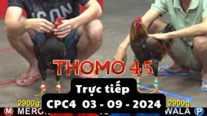 Trực Tiếp thomo CPC4 ngày 04-09-2024