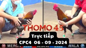 Trực Tiếp thomo CPC4 ngày 06-09-2024