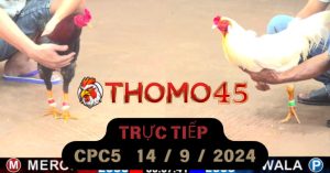 Trực Tiếp thomo CPC5 ngày 14-09-2024