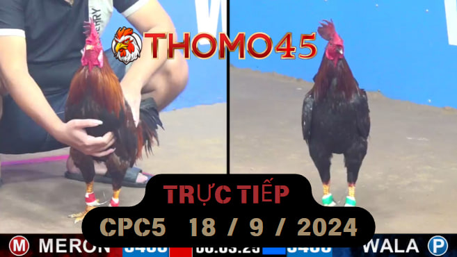 Trực Tiếp thomo CPC5 ngày 18-09-2024