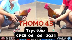 Trực Tiếp thomo CPC5 ngày 06-09-2024