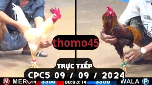 Trực Tiếp thomo CPC5 ngày 09-09-2024