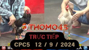 Trực Tiếp thomo CPC5 ngày 12-09-2024