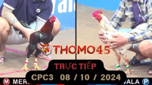 Trực Tiếp thomo CPC3 ngày 08-10-2024