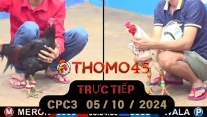 Trực Tiếp thomo CPC3 ngày 05-10-2024