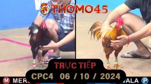 Trực Tiếp thomo CPC4 ngày 06-10-2024
