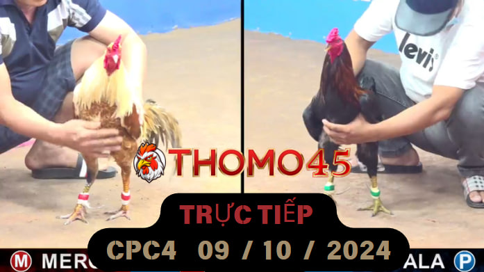 Trực Tiếp thomo CPC4 ngày 09-10-2024