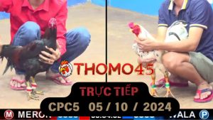 Trực Tiếp thomo CPC5 ngày 05-10-2024