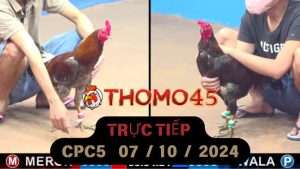 Trực Tiếp thomo CPC5 ngày 07-10-2024